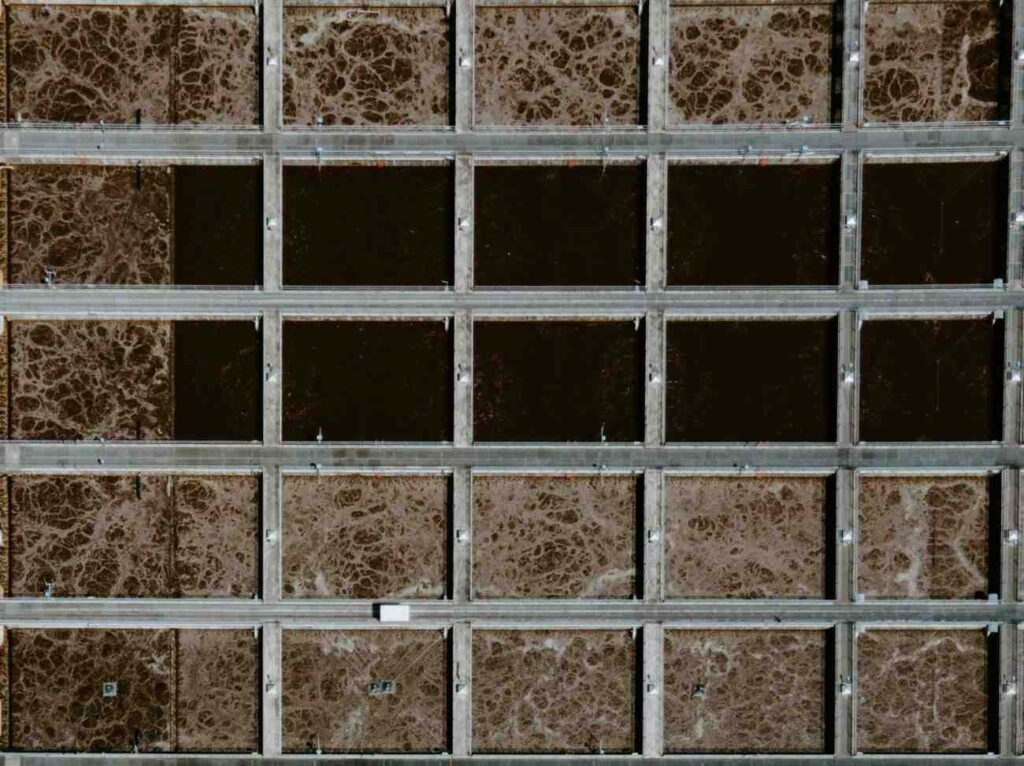 Overhead view of tiled surface with multiple sections showing discoloration and wear, highlighting the need for tile repair.