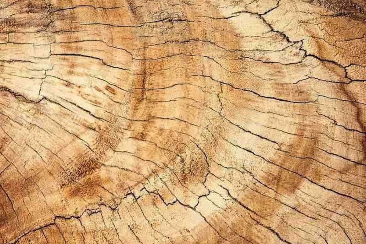 Close-up of natural wood texture used in engineered wood floor.